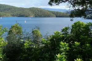 HINZE DAM 2006(013)